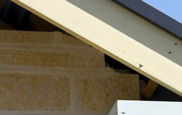 soffit repair Meikleour